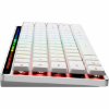 ROG FALCHION RX LOW PROFILE